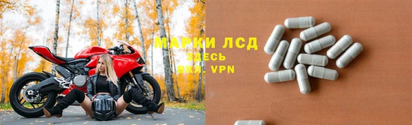 гидропоника Алзамай