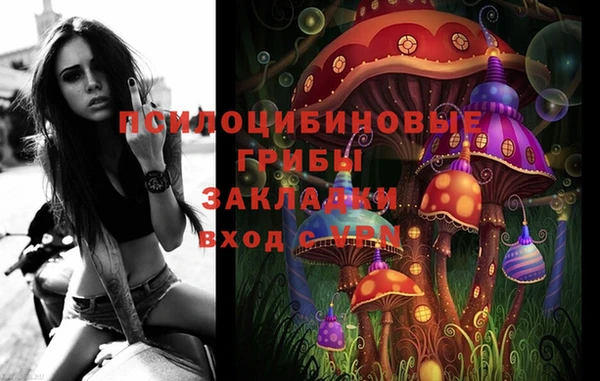 молекула духа Новодвинск