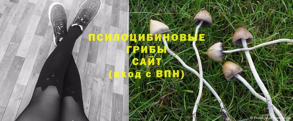 таблы Алексеевка