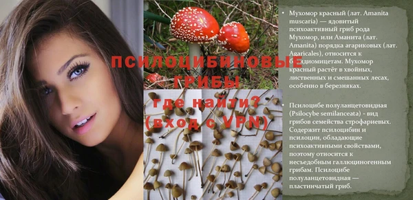 стаф Алексин