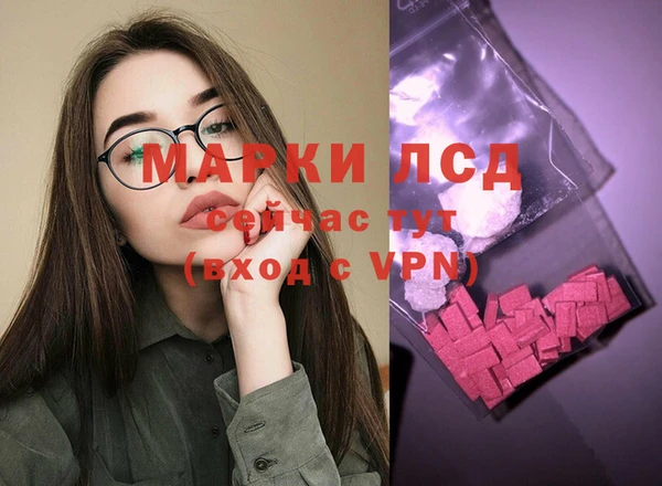 гидропоника Алзамай
