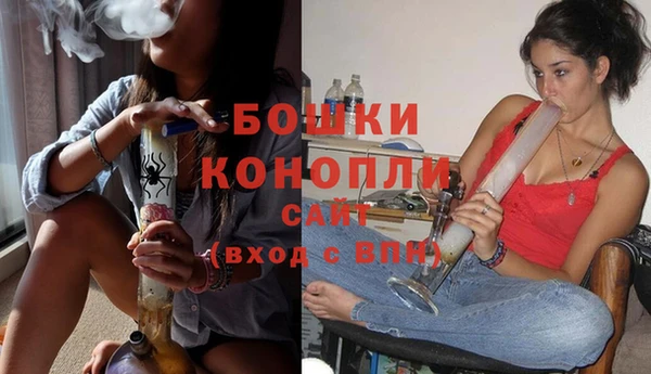 трава Новозыбков