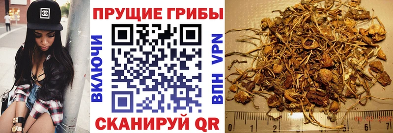 закладки  Крымск  Псилоцибиновые грибы прущие грибы 